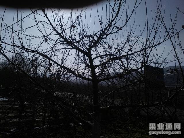 114549ou2722ztft3tc3hf.jpg