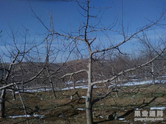 120132rc4xevauaakitqya.jpg
