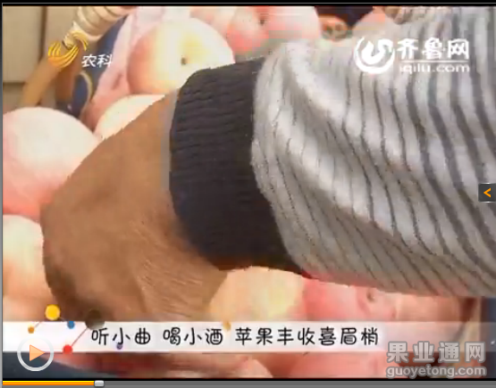 QQ图片20160104003339.png