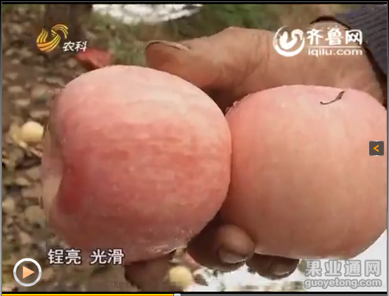 QQ图片20160104004636.png