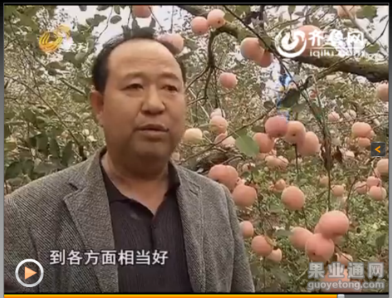 QQ图片20160104004648.png