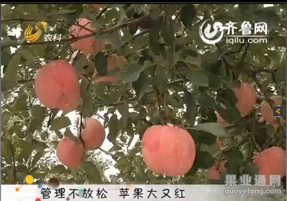 QQ图片20160104011251.png