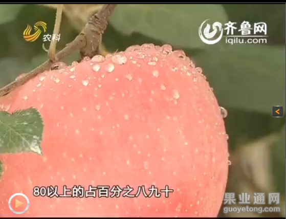 QQ图片20160104011314.png