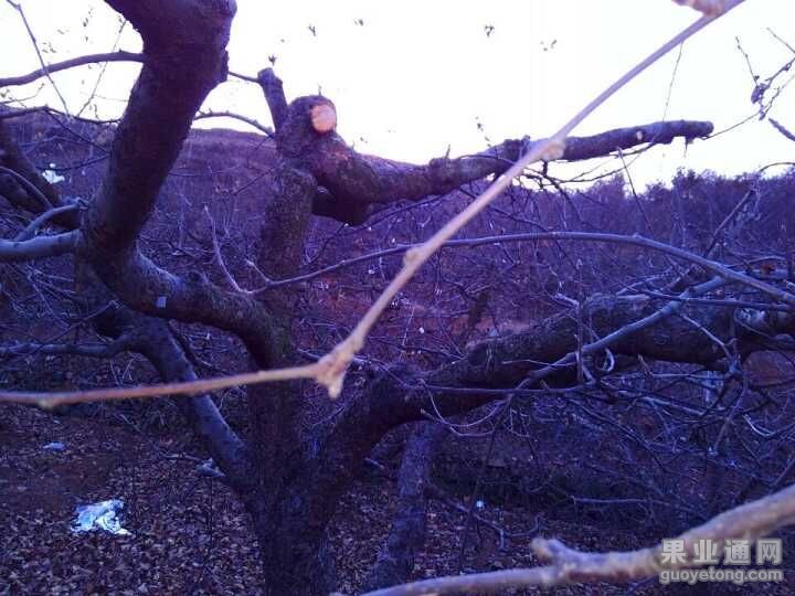 QQ图片20160107024757.jpg