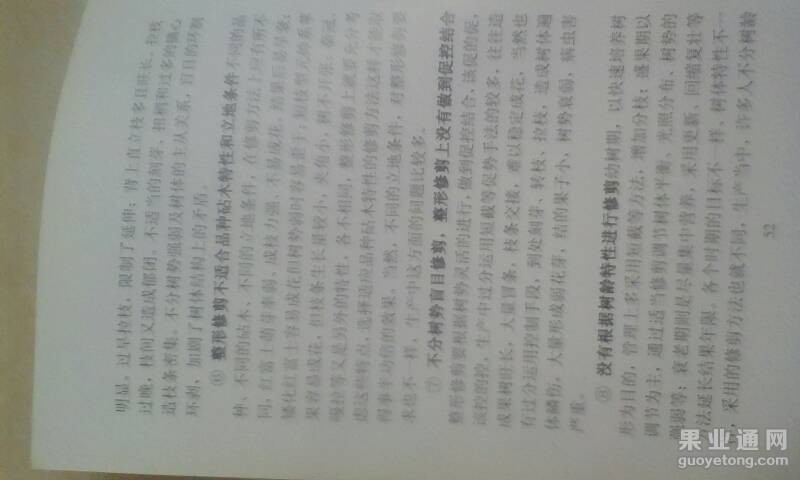 163700i0u0s20s883ggjw7.jpg
