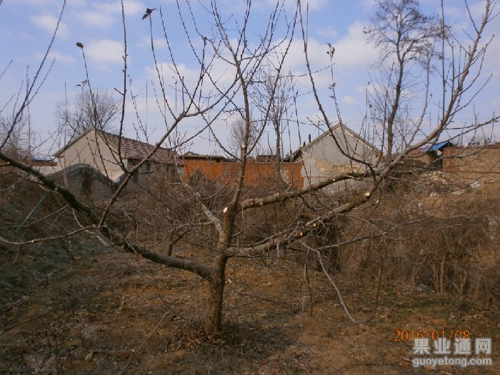 P1080063.JPG