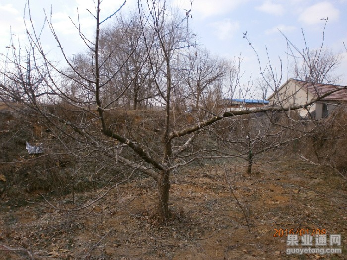 P1080066.JPG