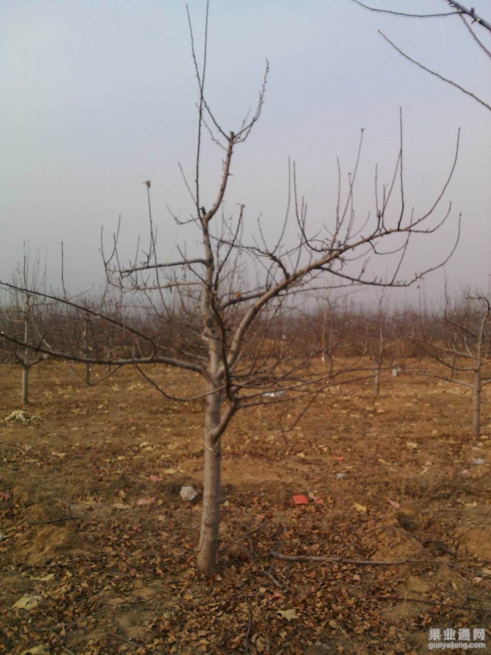 171011bymrpml7kd997lpp.jpg