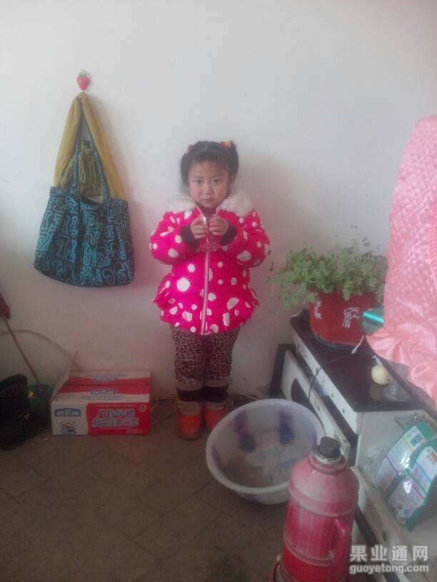 130400f50ddo5p7c7plq1d.jpg