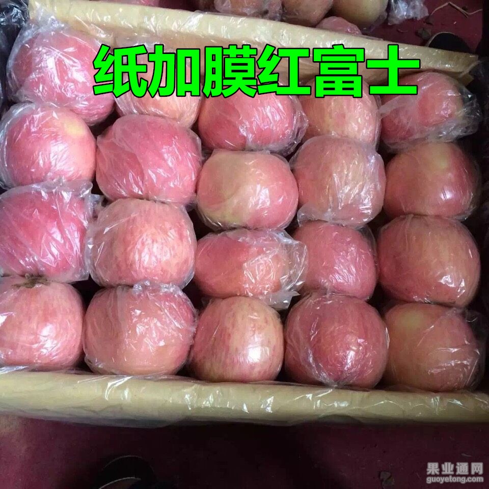 QQ图片20151229203417_副本.jpg