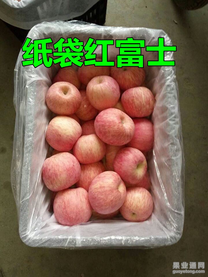 QQ图片20160113164204_副本.jpg