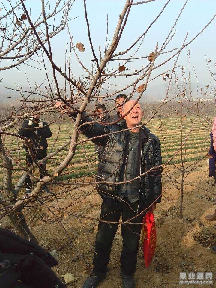 QQ图片20160116093624.jpg