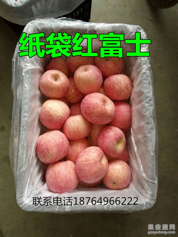 QQ图片20160113164204_副本_副本.jpg