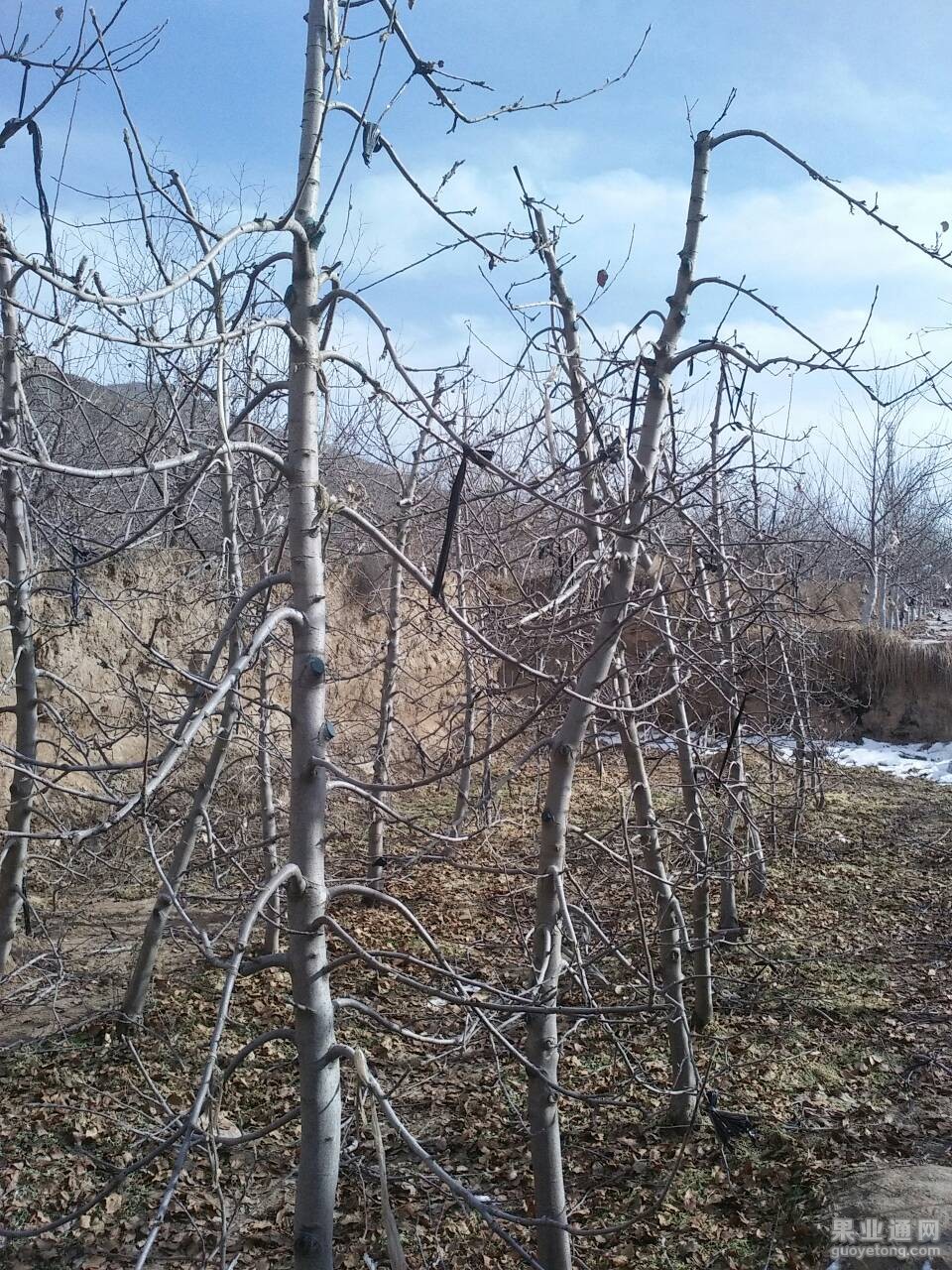 175914lyao6q177674776u.jpg