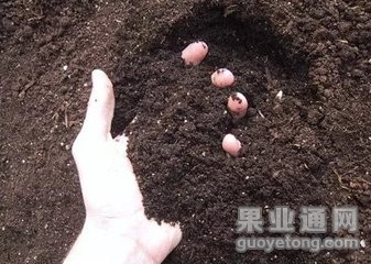 t0163452bc74dbe6658.jpg
