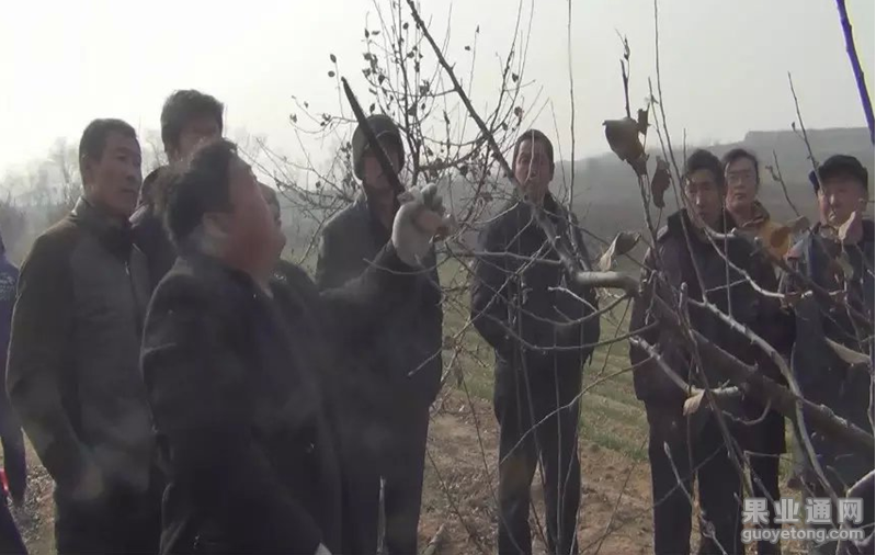 QQ图片20160117111806.png