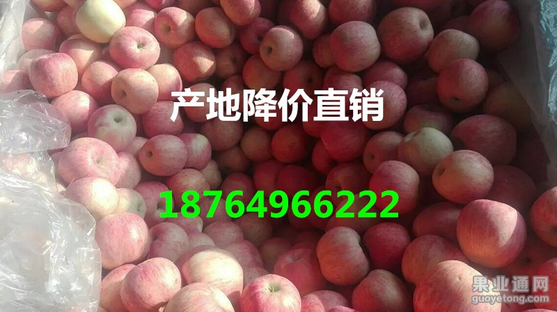 QQ图片20160112101501_副本.jpg