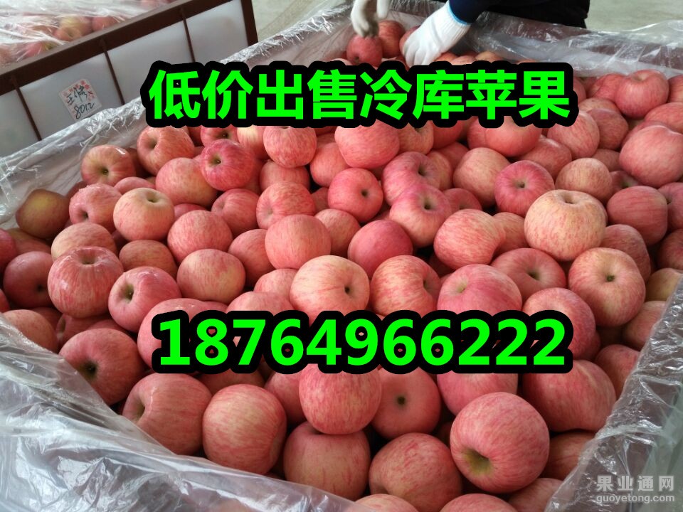 QQ图片20151222100859_副本.jpg