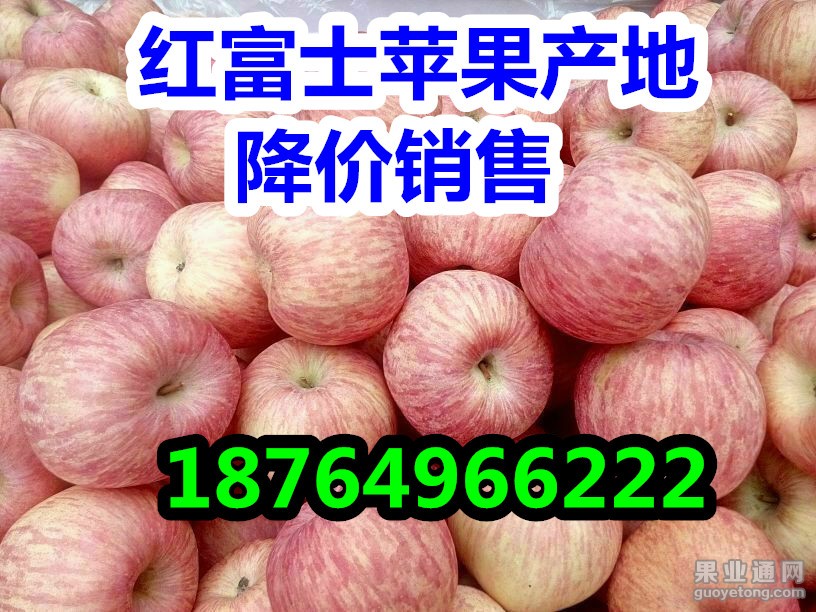 QQ图片2016010912491.jpg