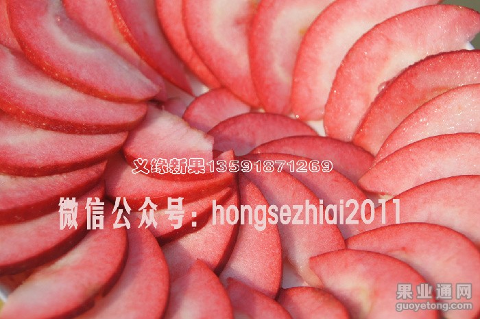 DSC077926.jpg