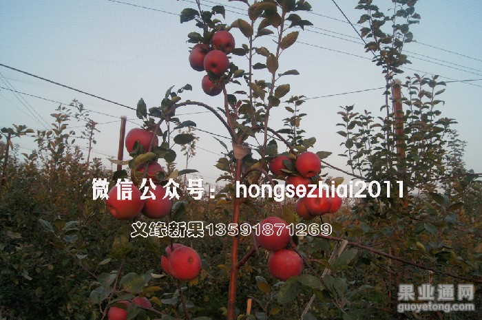 DSC076223.jpg