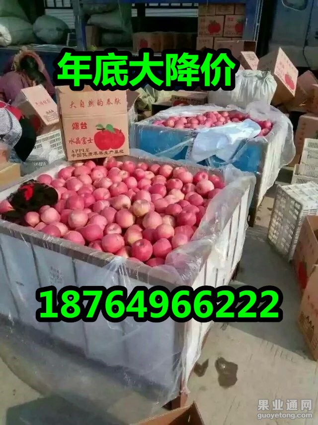 psbCA1KEIR2_副本.jpg