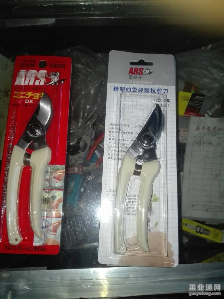 212447hxsjhgeshssuhcgh.jpg