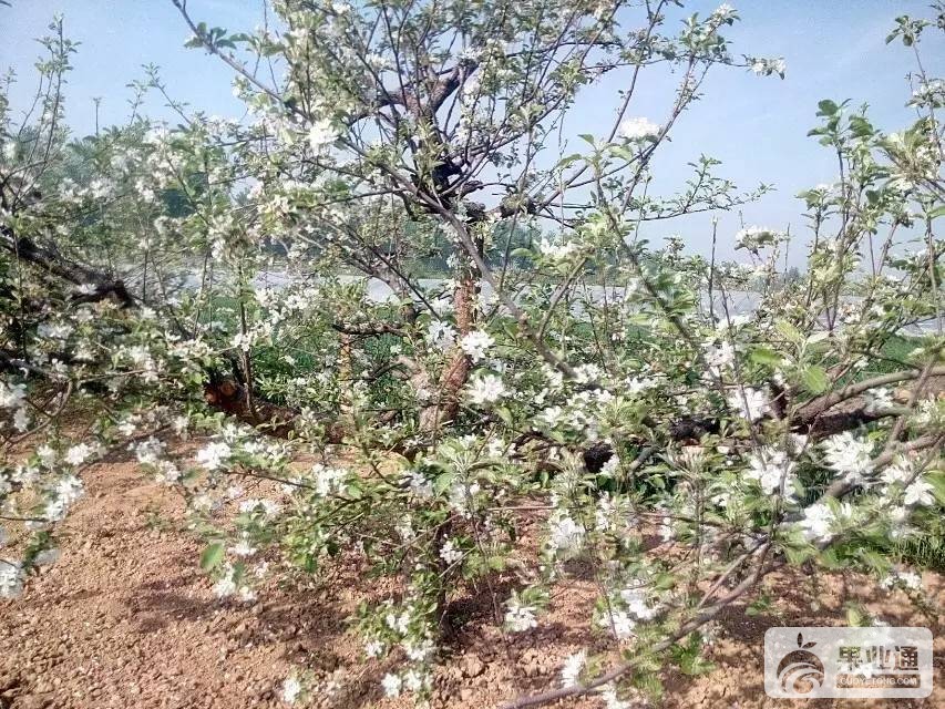 154325vrc55dc543rahguj.jpeg