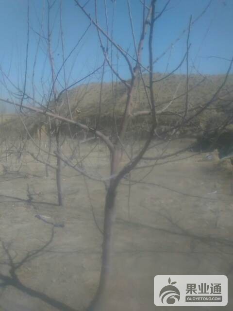 122845d26pbc74l02sea72.jpg