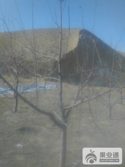 122846m6s9oskmaw6lw2du.jpg