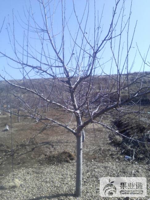 232402kd3eddzel533y05g.jpg