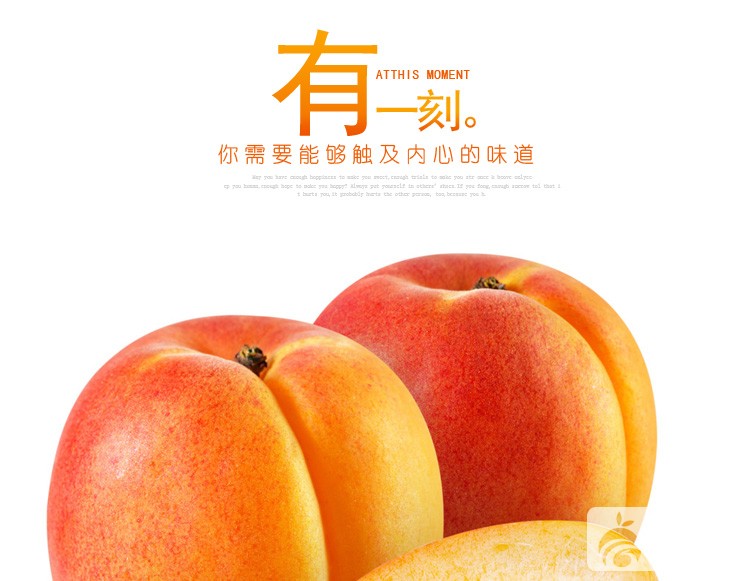 堂琅珠