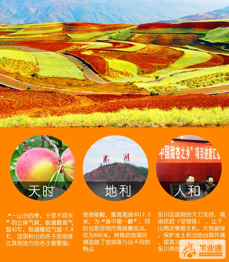 堂琅珠