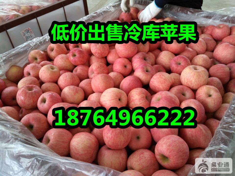 QQ图片20151222100859_副本.jpg