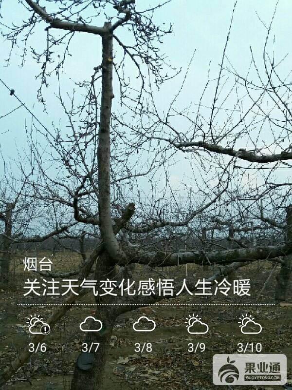 105438ekzx42yjbr4or7hs.jpg