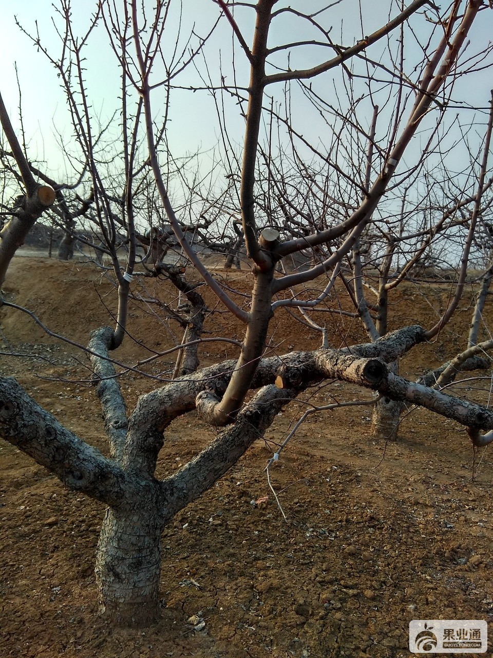 IMG_20160317_164035_HDR.jpg