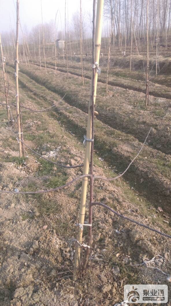 093513ilv4wtwc4fviiczf.jpg