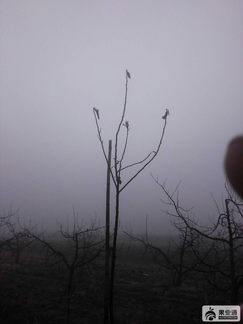 071307f1kseks6h1h80zw2.jpg