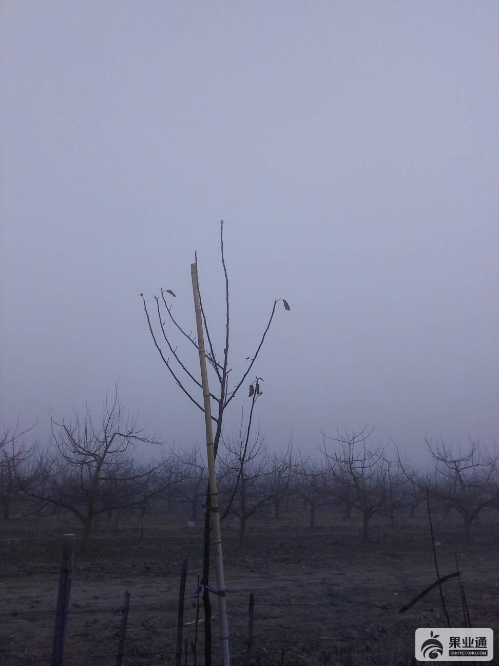 071309n3hsznhsmlnszzi4.jpg