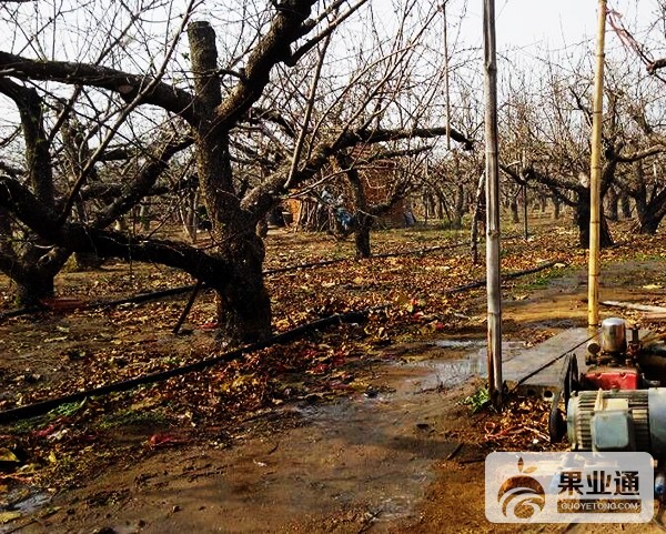 QQ图片20160401152127.jpg