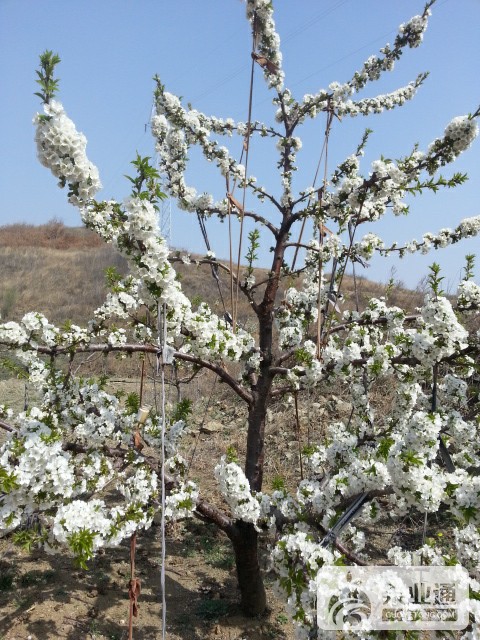 20160409_100147.jpg
