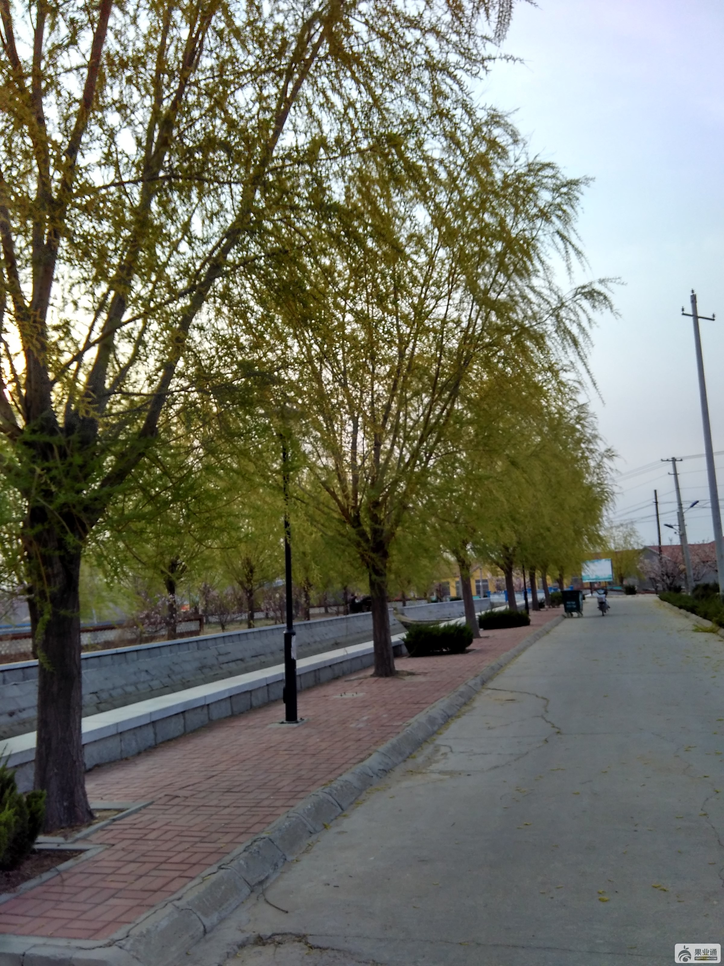 IMG_20160411_171112_HDR.jpg