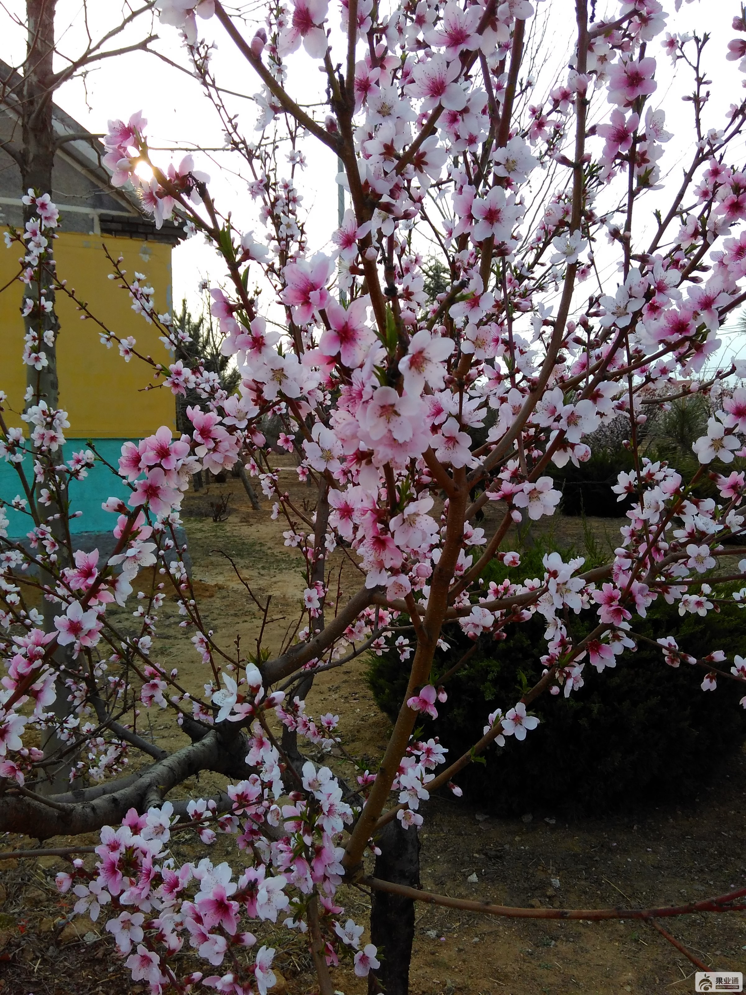IMG_20160411_170842_HDR.jpg