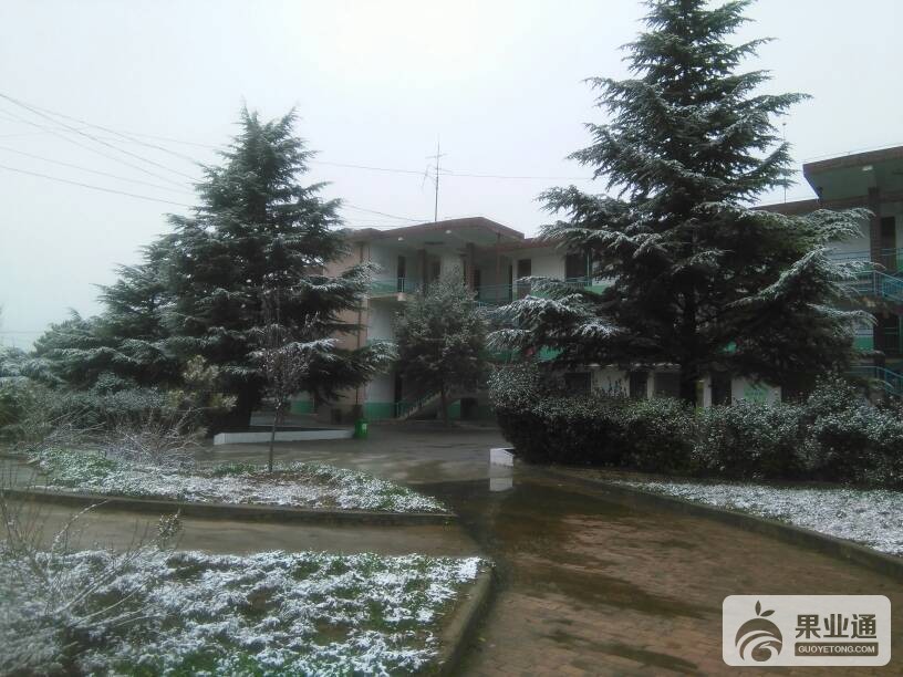 210037wzqaytzwi292rtqf.jpg
