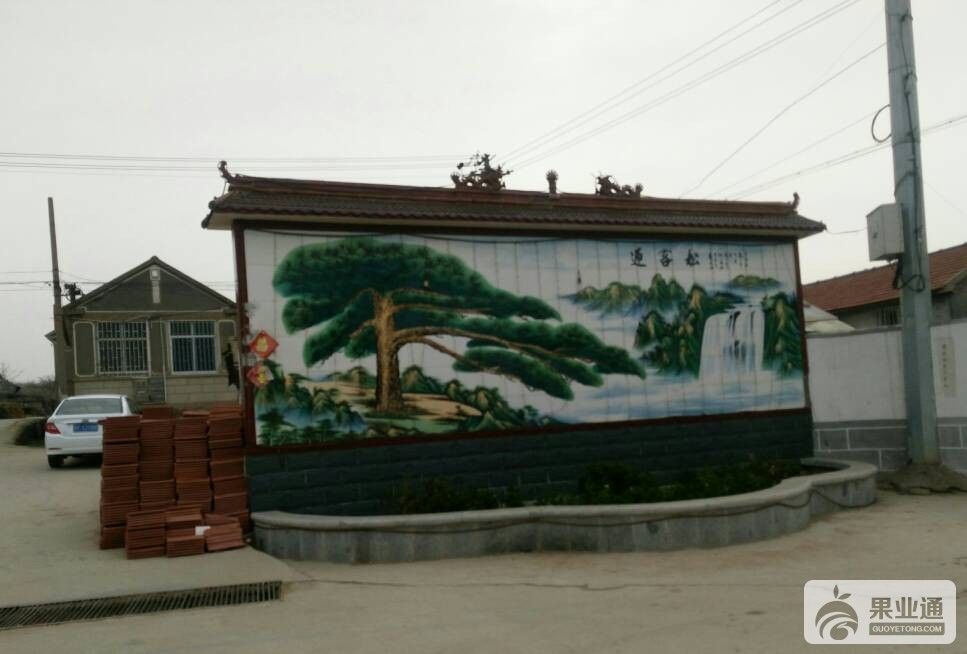 192351gxfxvp20ry0hh1xp.jpg