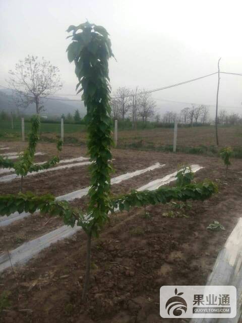 144209uzzs6eskbevfabdf.jpg