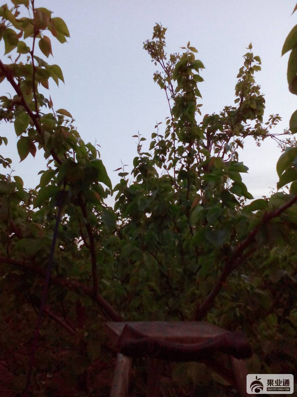 200902f49qd4do2qo9j1k2.jpg