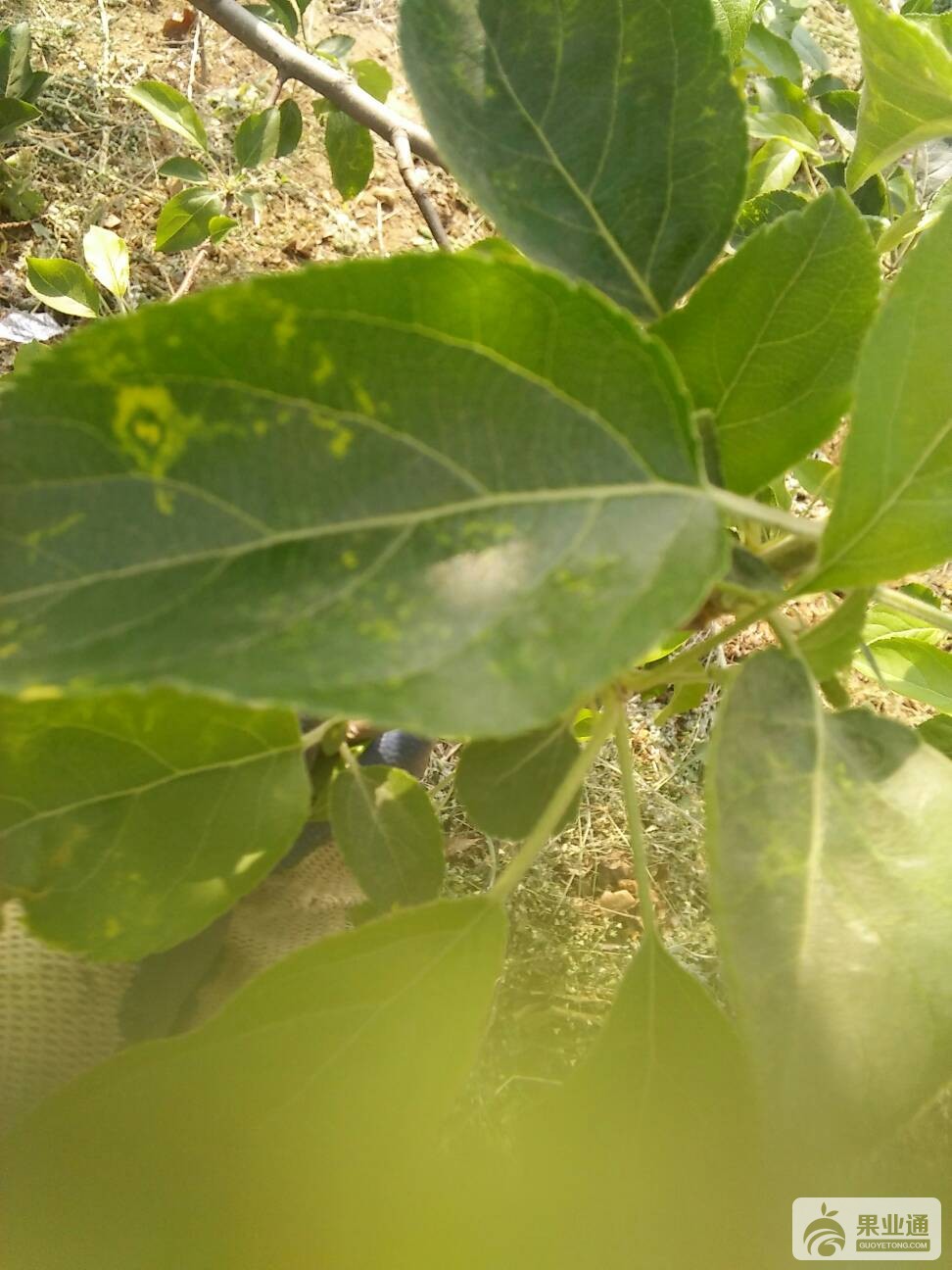 190852l1jianoo7ziljln7.jpg
