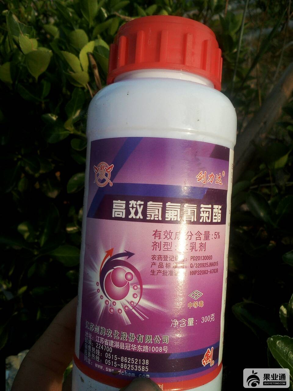 172400mxgk5l7iflffff02.jpg