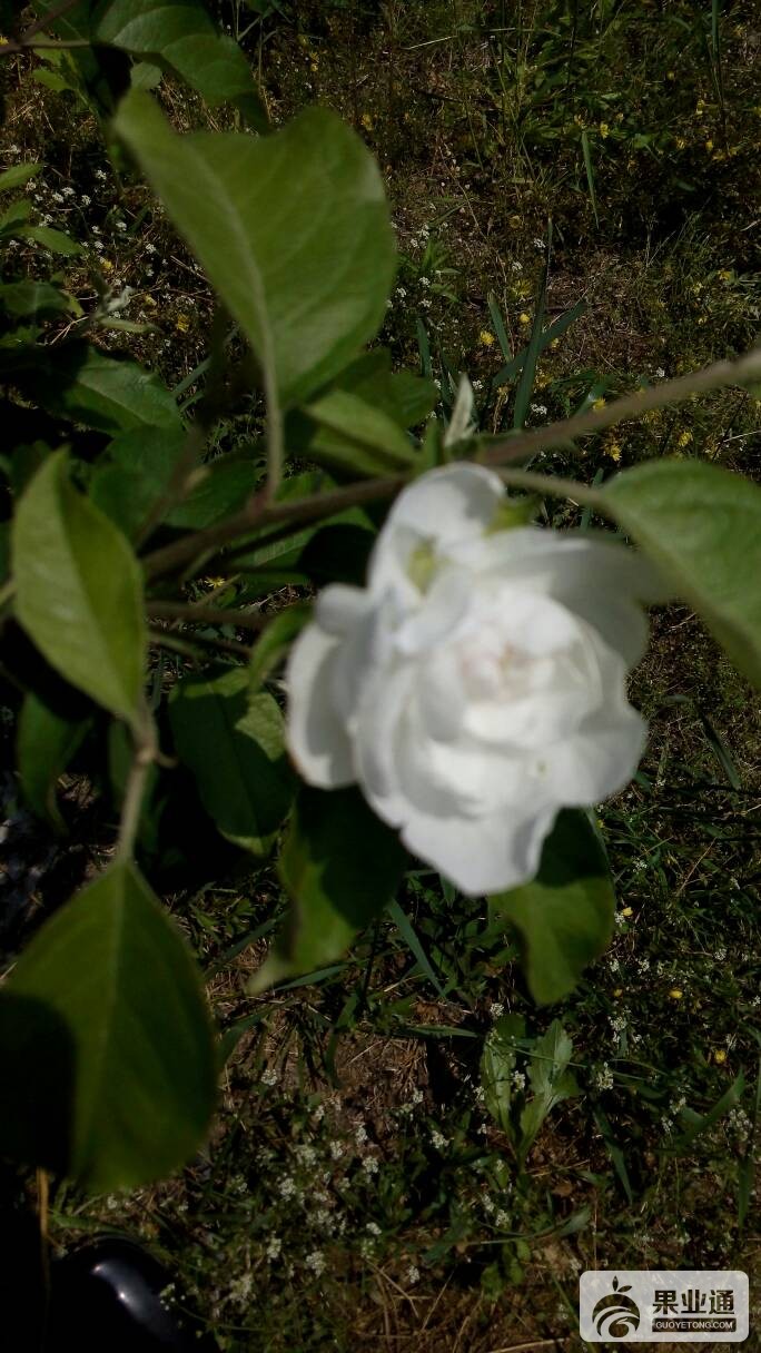 054337wmj2dqpww0ej0d4n.jpg